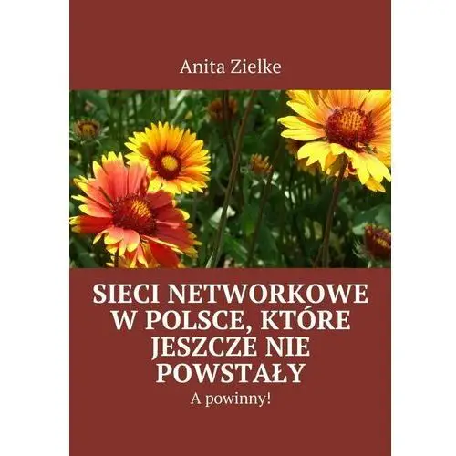 Sieci networkowe w Polsce, które jeszcze nie powstały, a powinny