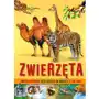 Zwierzęta. encyklopedia dla dzieci w wieku 7-10 lat wyd. 2022 Siedmioróg Sklep on-line