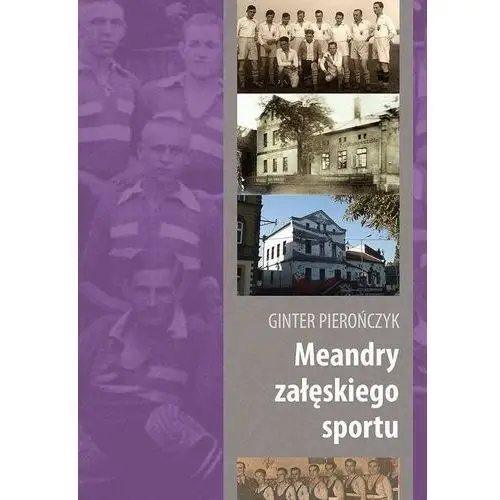 Silesia progress Meandry załęskiego sportu - ginter pierończyk - książka