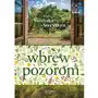 Silver Wbrew pozorom Sklep on-line