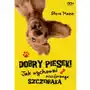 Dobry piesek! - steve mann Sine qua non Sklep on-line