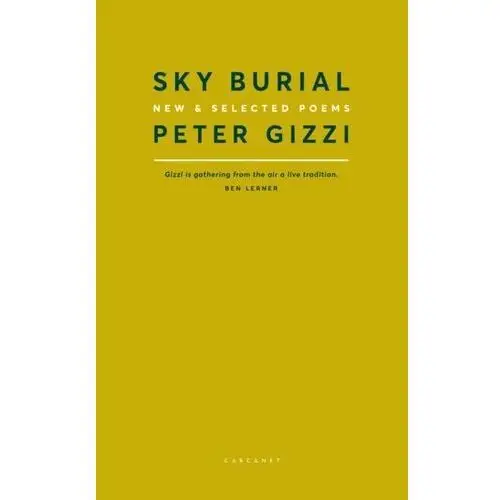 Sky Burial [DRM]