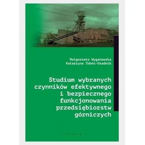 Studium wybranych czynników efektywnego... Śląsk