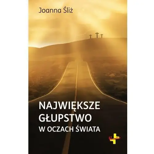 Największe głupstwo w oczach świata Śliż joanna