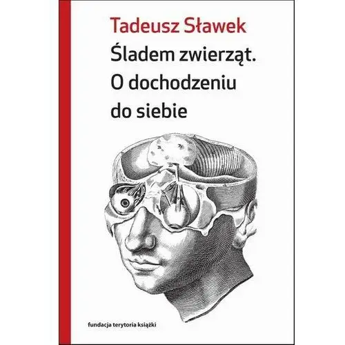 Śladem zwierząt. O dochodzeniu do siebie