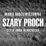 Szary proch Smpb Sklep on-line