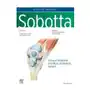 Sobotta Atlas of Anatomy, Vol.1, 17th ed., English/Latin Sklep on-line