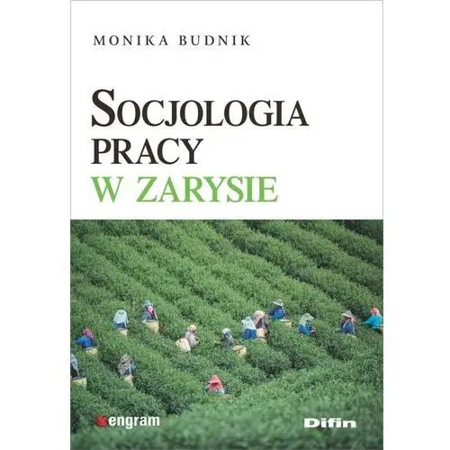 Socjologia pracy w zarysie- bezpłatny odbiór zamówień w Krakowie (płatność gotówką lub kartą)