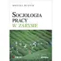 Socjologia pracy w zarysie- bezpłatny odbiór zamówień w Krakowie (płatność gotówką lub kartą) Sklep on-line