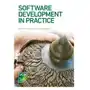 Software Development in Practice Fishpool, Bernie; Fishpool, Mark Sklep on-line