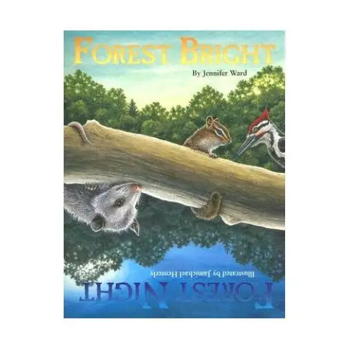 Sourcebooks, inc Forest bright, forest night