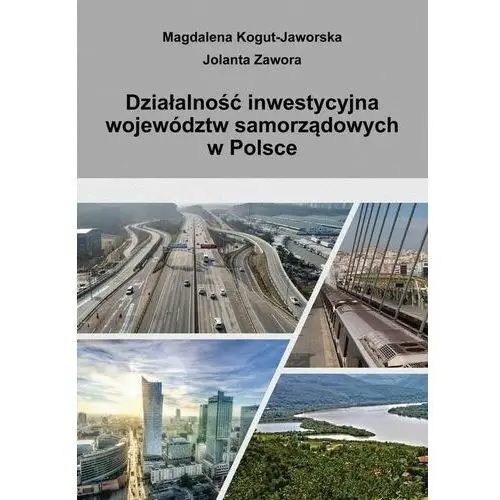 Działalność inwestycyjna województw samorządowych w polsce, AZ#5432F04EEB/DL-ebwm/pdf
