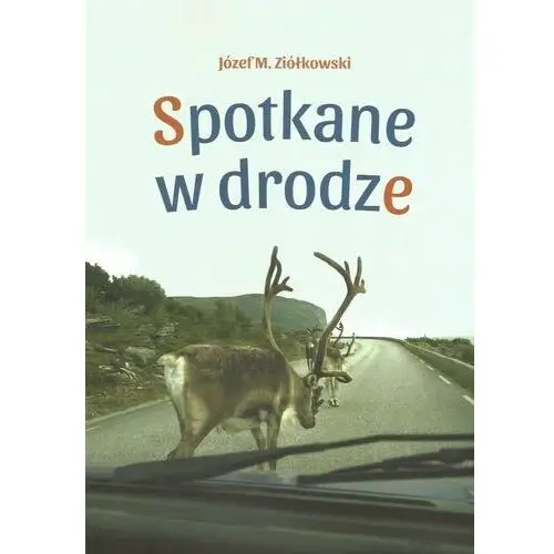 Spotkane w drodze