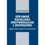 Sprawne działania indywidualne i zespołowe. Ujęcie prakseologiczno-systemowe (E-book) Sklep on-line