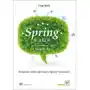 Spring w akcji Sklep on-line