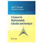 A course in multivariable calculus and analysis Springer, berlin Sklep on-line