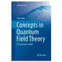 Springer international publishing ag Concepts in quantum field theory Sklep on-line