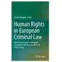 Springer international publishing ag Human rights in european criminal law Sklep on-line