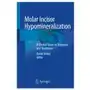 Springer Molar incisor hypomineralization: a clinical guide to diagnosis and treatment Sklep on-line