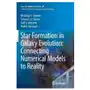 Springer-verlag berlin and heidelberg gmbh & co. kg Star formation in galaxy evolution: connecting numerical models to reality Sklep on-line