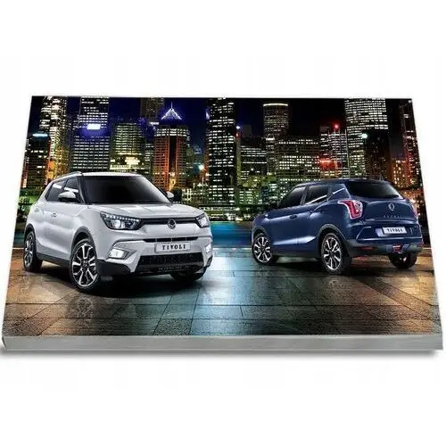 SsangYong Tivoli 2015-2019 Instrukcja Obsługi