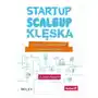 Startup, scaleup, klęska. 42 ścieżki rozwijania biznesu w duchu Lean i Agile Sklep on-line