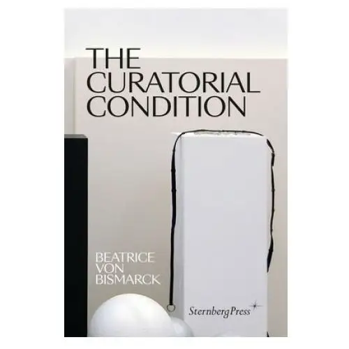 Curatorial condition Sternberg press