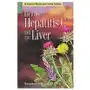 Storey pub Herbs for hepatitis c and the liver Sklep on-line