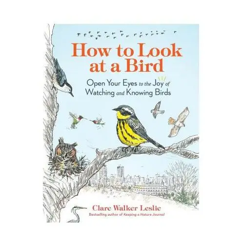 Storey pub How to look at a bird: open your eyes to the joy of watching and knowing birds