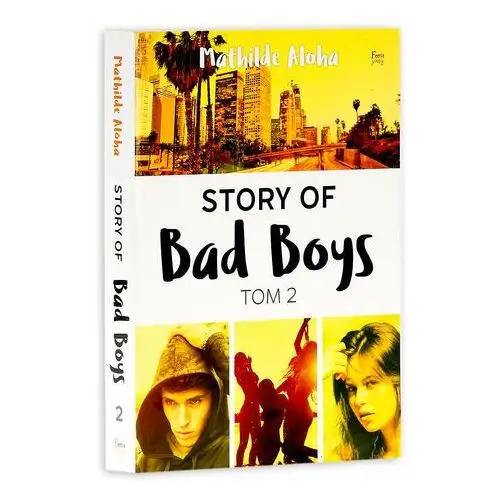 Story of Bad Boys. Tom 2