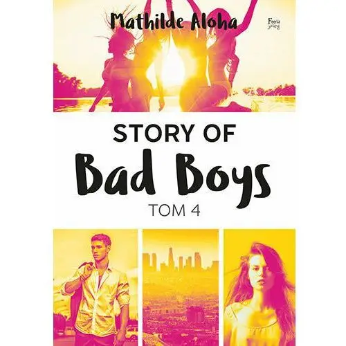 Story of Bad Boys. Tom 4