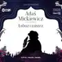 Adaś mickiewicz. łobuz i mistrz audiobook Storybox Sklep on-line