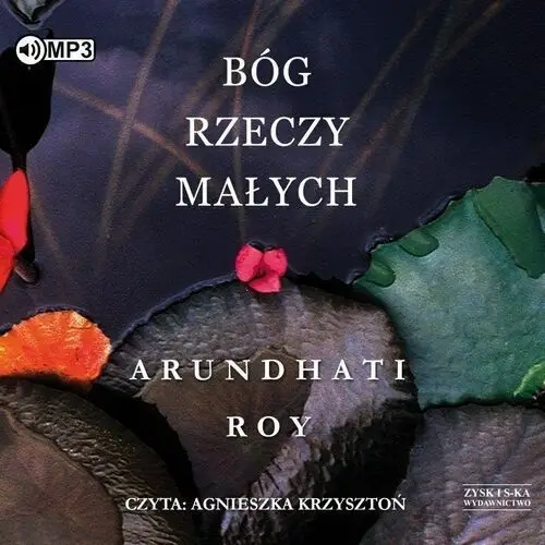 Bóg rzeczy małych audiobook Storybox