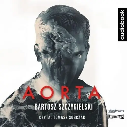 Cd mp3 aorta - bartosz szczygielski Storybox