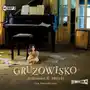 Gruzowisko audiobook Storybox Sklep on-line