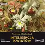 Storybox Inteligencja kwiatów audiobook Sklep on-line