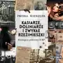 Kasiarze doliniarze i zwykłe rzezimieszki przestępczy półświatek ii rp Storybox Sklep on-line