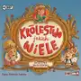 Storybox Królestwo jakich wiele audiobook Sklep on-line