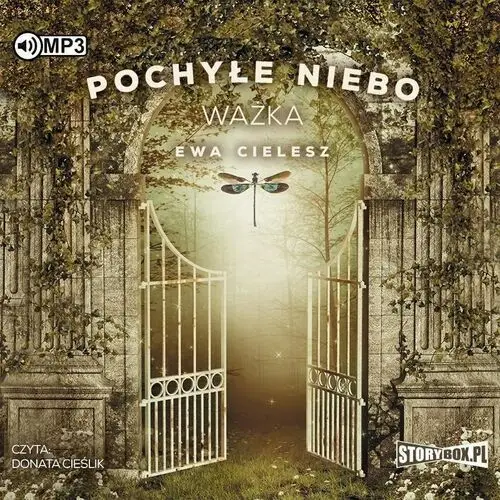 Pochyłe niebo T.3 Ważka audiobook