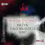 Prawda zapisana w popiołach T.2 audiobook Sklep on-line