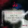 Storybox Prawda zapisana w popiołach. tom 2. krzyk zagubionych serc Sklep on-line