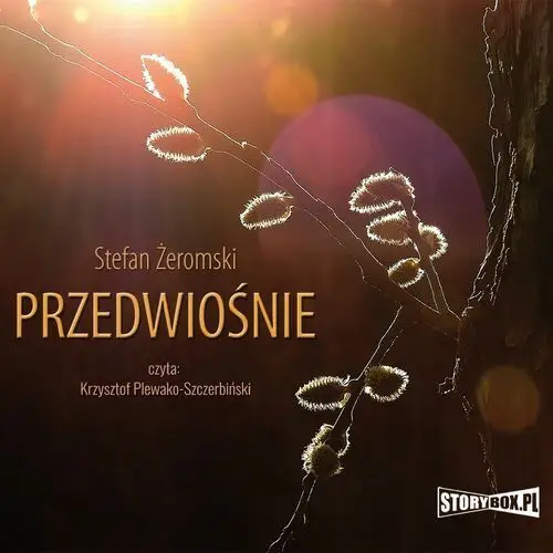 Przedwiośnie Storybox