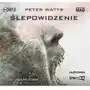 Ślepowidzenie audiobook Sklep on-line