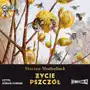 Życie pszczół audiobook Storybox Sklep on-line