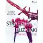 Straszne bliźniaki. reminiscencje Sklep on-line