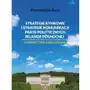 Strategie rynkowe i strategie komunikacji partii politycznych Irlandii Północnej. Perspektywa zarządzania (E-book) Sklep on-line