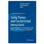 String theory and fundamental interactions Springer-verlag berlin and heidelberg gmbh & co. kg Sklep on-line