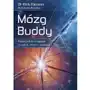 Studio astropsychologii Mózg buddy. podręcznik do osiągania szczęścia... - richard mendius, rick hanson - książka Sklep on-line