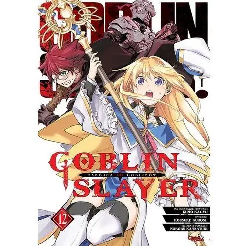 Goblin slayer. tom 12