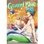 Studio jg (p) Grand blue. tom 14 Sklep on-line